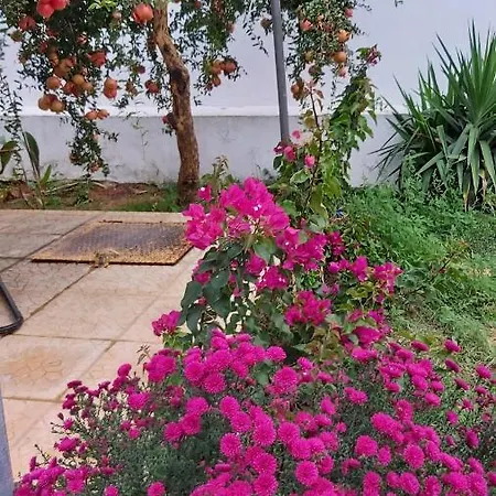 Anna's House 2 Psakoudia